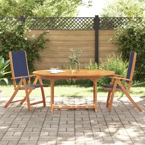 vidaXL Cadeiras de jardim dobráveis 2 pcs acácia maciça e textilene