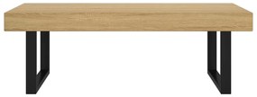 Mesa de centro 120x60x40 cm MDF e ferro castanho-claro e preto