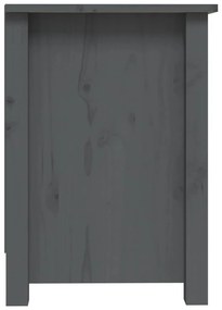 Móvel de TV 103x36,5x52 cm madeira de pinho maciça cinzento