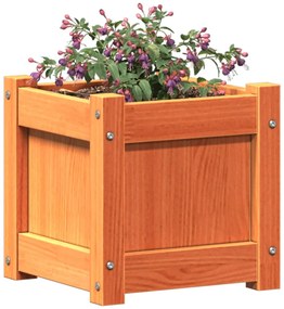 Vaso/floreira de jardim 31x31x31 cm pinho maciço castanho cera