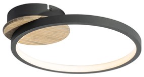 Plafon Moderno Preto com Madeira Incl. LED Regulável em 3 Níveis - Alec Moderno