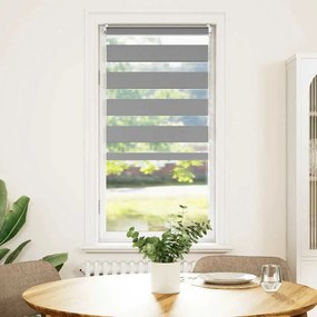 Estore de rolo 60 x 120 cm, linhas de zebra / Cinza