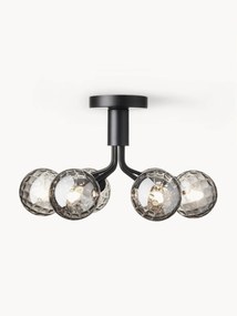 Glass Ball Pendant Lamp Apiales