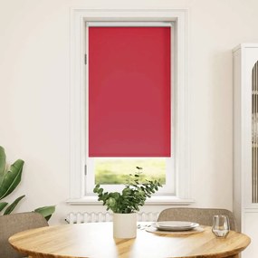 Estore de rolo 60 x 120 cm, Vermelho