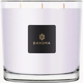 Vela XXL em caixa (urze selvagem, madeira de carvalho)