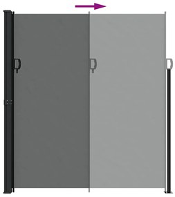 Toldo lateral retrátil 220x500 cm antracite