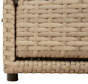 Armário de arrumação para jardim 110x55x60,5 cm vime PE bege