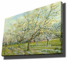 Pintura Decorativa em Tela 70100VANGOGH017 – Multicolor – 70 x 100 cm