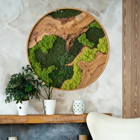 Autocolante floresta de musgo - Círculo natural