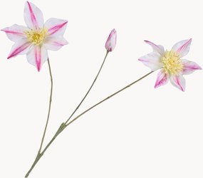 Flores artificiais Clematis, conjunto de 2