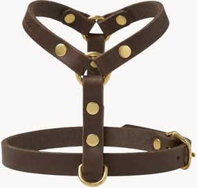 Peitoral para cão em pele Y-Harness, vários tamanhos