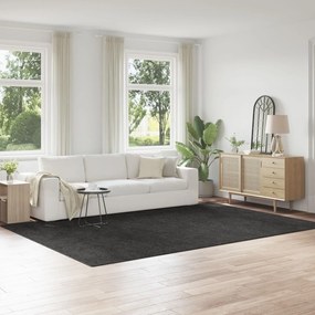 Tapete Shaggy vidaXL com Base de Látex Cinza Escuro 240x340 cm