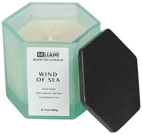 Conjunto de vela perfumada de soja e difusor vento do mar CLASSY TINT Beliani