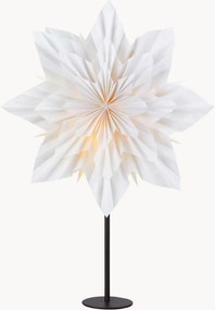 Estrela luminosa de Natal Neela
