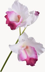 Flores artificiais Cattleya, conjunto de 2