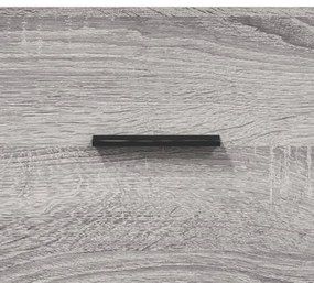 Sapateira 60x35x105 cm derivados de madeira cinzento sonoma