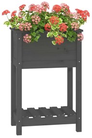 Vaso/floreira com prateleira 54x34,5x81 cm pinho maciço cinza