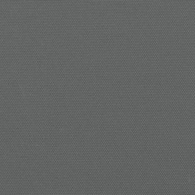 Toldo lateral retrátil 180x1200 cm antracite