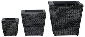 Vasos/floreiras 3 pcs jacinto de água preto