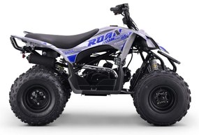 Moto 4 gasolina para crianças 125cc ROAN DAKAR R8 Azul