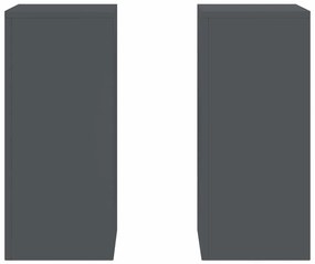 Suportes de Plantas para Exteriores Pilar 2 pcs Antracite 24x24x55 cm