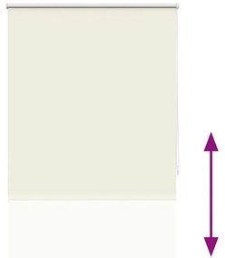 Estore de rolo 80 x 230 cm, Branco escuro