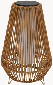 Candeeiro de pé solar LED regulável Salomea Tall