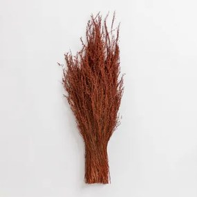 Ramo Decorativo Dimka Vermelho Argila - Sklum