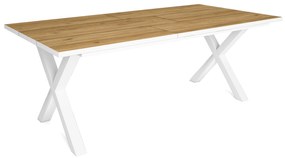 Mesa de sala de jantar | 10 pessoas | 200 | Robusto e estável graças à sua estrutura e pernas sólidas | Ideal para reuniões familiares | Oak e  branca