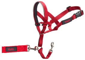 Coleira de Treino para Cães Company of Animals Halti Açaime (35-48 cm)