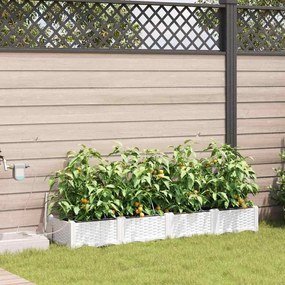 vidaXL Jardineiras de Jardim 1 pc Branco 160 x 40 x 22 cm Plástico