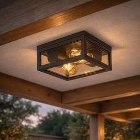 Candeeiro de teto preto com vidro fumê 2 luzes IP44 - Charlois