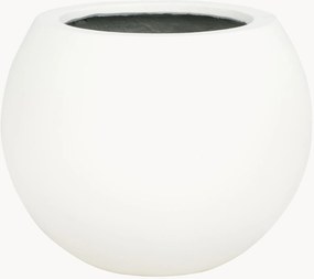 Vaso Kenslia