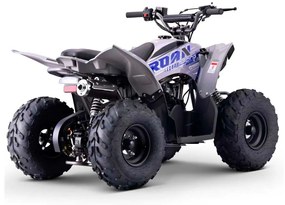 MINI MOTO 4 GASOLINA PARA CRIANÇAS velocidade até 45Km/h C/Limitador DAKAR 110cc Automática