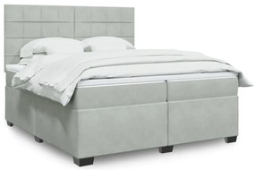 Cama com molas/colchão 200x200 cm veludo cinzento-claro
