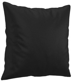 Sofá Liríus - De 2 Lugares com 2 Almofadas Decorativas - Cor Preto - E