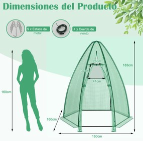 Mini estufa de jardim portátil com cobertura PE para todas as condições climatéricas Porta de enrolar Janela de rede para plantas 160 x 160 x 183 cm V