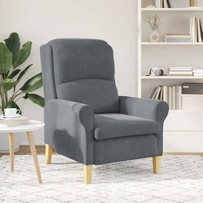 Poltrona Cinza Escura Cinzento escuro Standard