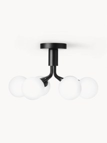 Glass Ball Pendant Lamp Apiales