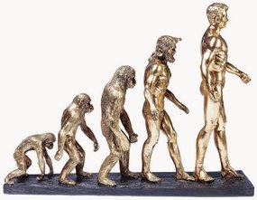 Objeto decorativo Evolution