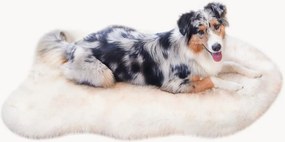 Cama ortopédica para cães Relax
