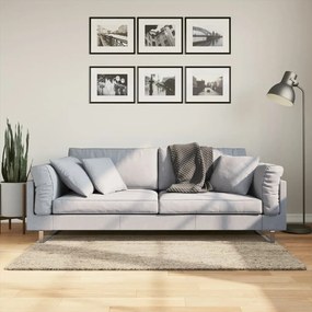 Tapete de pelo alto com aspeto brilhante ISTAN 80x150 cm bege