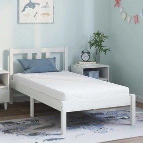 vidaXL Colchões Branco 80 x 160 cm Espuma