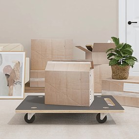 vidaXL Carrinhos de transporte 2 pcs retangular 80x55x11,5 cm 250 kg