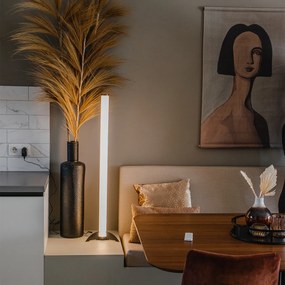 Candeeiro de pé preto regulável em Kelvin com comando remoto - Bomba