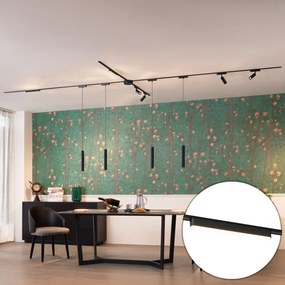 Sistema de iluminação de trilho com 10 luzes pretas monofásicas - Magnetic Samson Cassie Marra