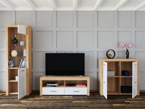 Conjunto para sala de estar Sonali 121