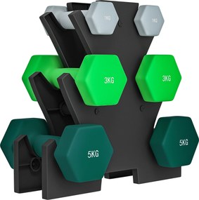 SPORTNOW Conjunto de halteres com suporte de armazenamento, conjunto com 6 halteres para treino de fitness, 2 x 1kg, 2 x 3kg, 2 x 5kg | Aosom Portugal