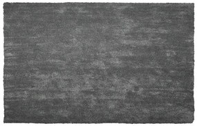 Tapete cinzento escuro 200 x 300 cm DEMRE Beliani