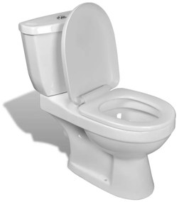 240549 vidaXL Sanita com autoclismo em branco